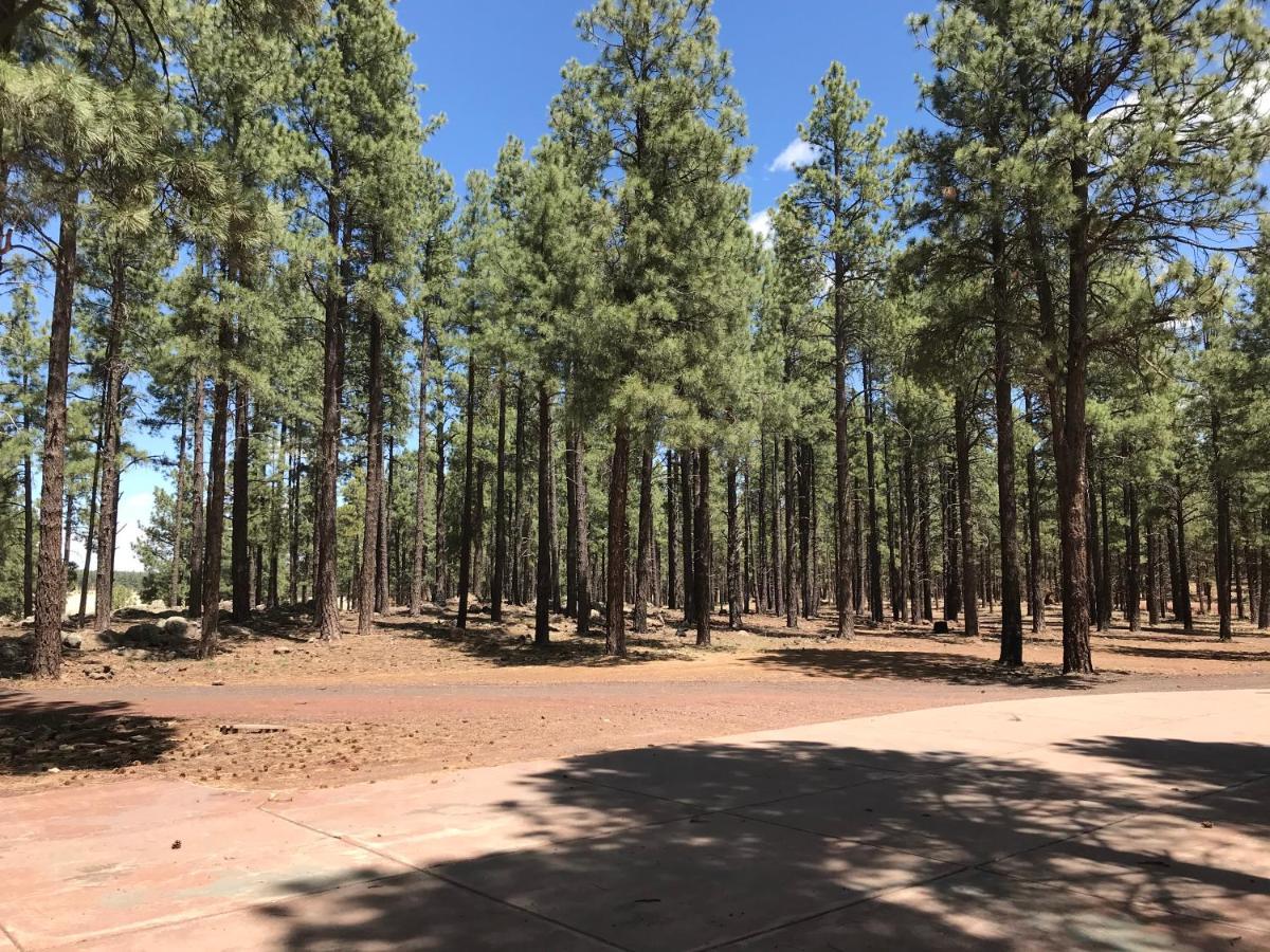 Grand Canyon Cottage At Historic Wrigley Ranch With Horseback Riding & Shooting Parks Экстерьер фото